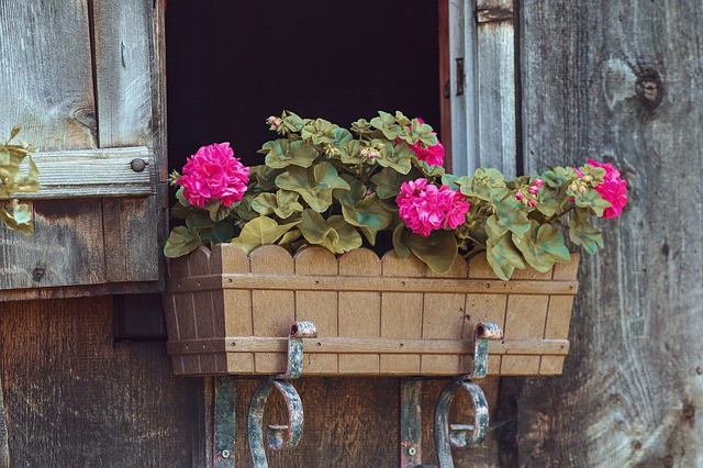 wood plant container