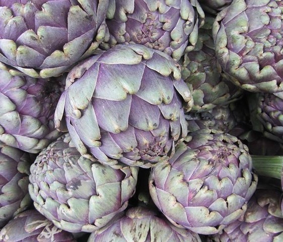 Artichoke