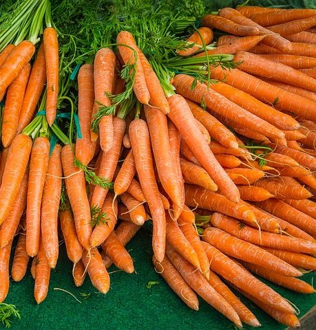 Carrots