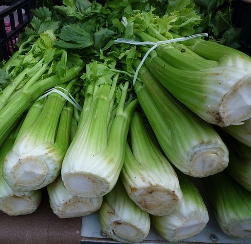 Celery