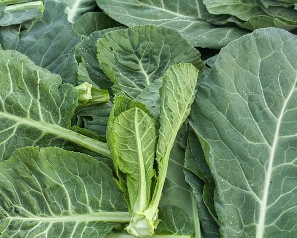 Collards