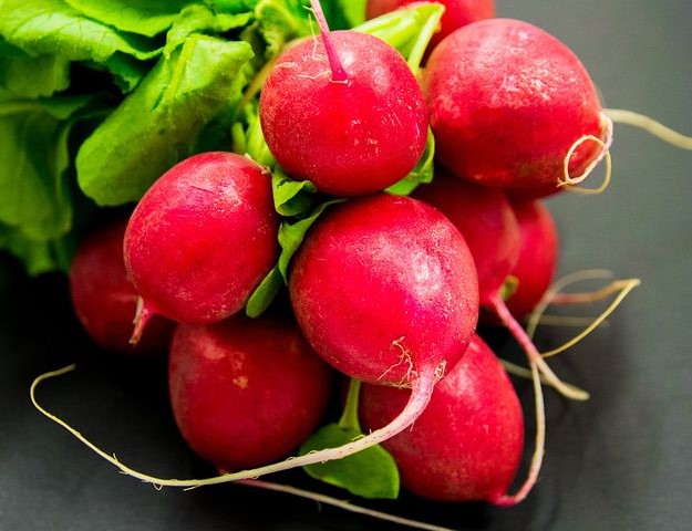 Radish