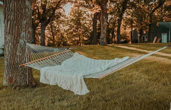 hammock hung between trees
