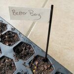 plant marker in seed tray