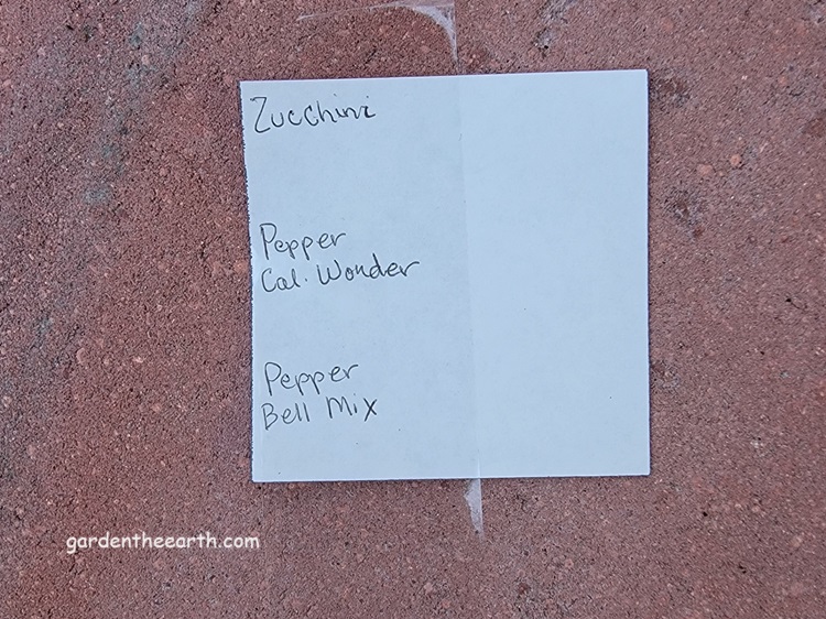 plant names on piece of paper with tape over top