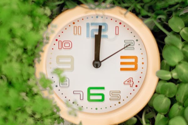 clock surrounded by healthy plants